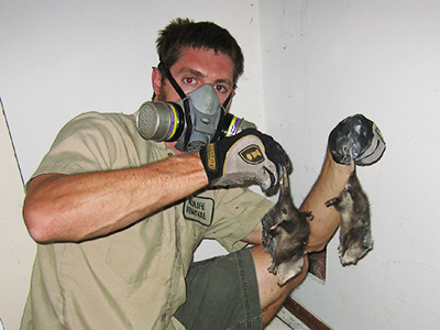 Hackensack dead animal